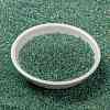 MIYUKI Round Rocailles Beads SEED-X0056-RR0277-2