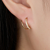 925 Sterling Silver Micro Pave Cubic Zirconia Hoop Earrings CB9976-2-3