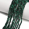 Natural Malachite Beads Strands G-C262-A02-3mm-2