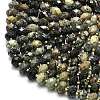 Natural African Turquoise(Jasper) Beads Strands G-P573-A28-01-3