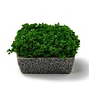 Resin Grass Platform Display Decoration RESI-G070-03F-2