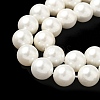 Shell Pearl Beads Strands BSHE-K015-10mm-03-3
