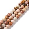 Natural Agate Beads Strands G-C238-03A-1