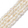 Natural Cultured Freshwater Pearl Beads Strands X-PEAR-N012-02F-3