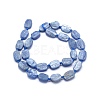 Natural Kyanite/Cyanite/Disthene Beads Strands G-O170-22-2