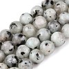 Natural Sesame Jasper/Kiwi Jasper Bead Strands G-R345-6mm-36-2