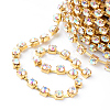 Iron Rhinestone Strass Chains CHC-T002-SS10-02C-1-2