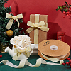 Velvet Ribbon SRIB-WH0006-18J-5