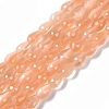 Cat Eye Beads Strands CE-N014-02C-05-1