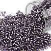 TOHO 11/0 Round Beads SEED-JPTR11-0039F-1