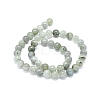 Natural Labradorite Beads Strands G-G828-01-8mm-2