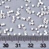 11/0 Grade A Glass Seed Beads X-SEED-S030-0401F-4