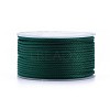 Polyester Braided Cords OCOR-I006-A01-33-1