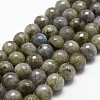 Natural Labradorite Beads Strands G-G736-04-10mm-1