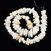 Natural Trochid Shell/Trochus Shell Beads Strands X-SHEL-S258-080-A01-2