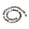 Natural Black Lip Shell Beads SHEL-M018-17-2
