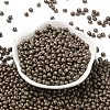 6/0 Glass Seed Beads X1-SEED-L011-08A-09-2