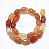Natural Carnelian Beads Strands G-S357-A09-2
