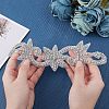 Hotfix Rhinestone DIY-WH0259-81-3