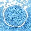 Baking Paint Glass Seed Beads SEED-L011-09A-06-2