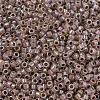 MIYUKI Delica Beads X-SEED-J020-DB1749-3