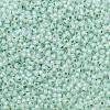 TOHO 11/0 Round Beads X-SEED-TR11-PF2118-2