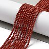 Natural Red Jasper Beads Strands G-J002-22-2