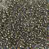 TOHO Round Seed Beads SEED-JPTR08-0757-2