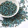 Glass Seed Beads X1-SEED-H002-B-D223-1