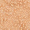 Baking Paint Glass Seed Beads SEED-L011-09A-15-3