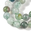 Natural Fluorite Beads Strands G-P530-B04-03-3