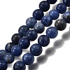 Round Natural Sodalite Beads Strands G-F222-39-10mm-2