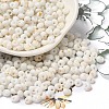 Baking Paint Glass Seed Beads SEED-F006-01A-15-1