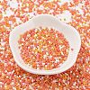Baking Paint Glass Seed Beads SEED-S042-05B-45-2