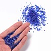 Round Glass Seed Beads SEED-A007-2mm-168-4