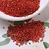MIYUKI Delica Beads X-SEED-J020-DB0043-1