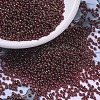 MIYUKI Round Rocailles Beads X-SEED-G007-RR0309-1
