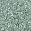 MIYUKI Delica Beads SEED-X0054-DB0829-3