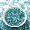 Glass Seed Beads X-SEED-S042-04B-23-2