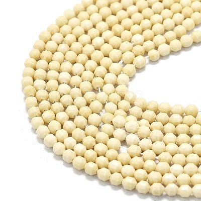Natural Fossil Beads Strands G-A260-A35-01-1