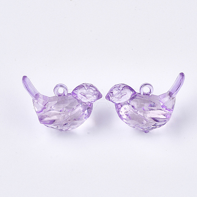 Transparent Acrylic Pendants TACR-S133-028-1