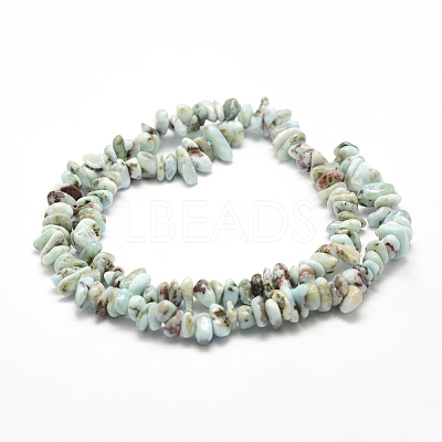 Natural Larimar Beads Strands X-G-P302-03-1