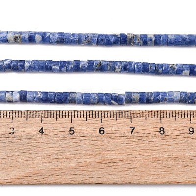 Natural Sodalite Beads Strands G-F631-A46-1