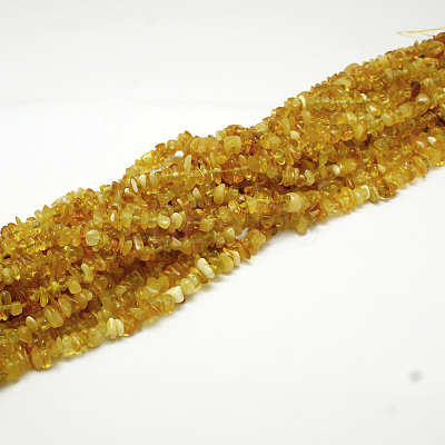 Natural Amber Chip Beads Strands G-E333-01B-1