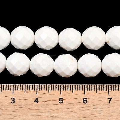 Natural Magnesite Beads Strands G-Z143-D01-10mm-1
