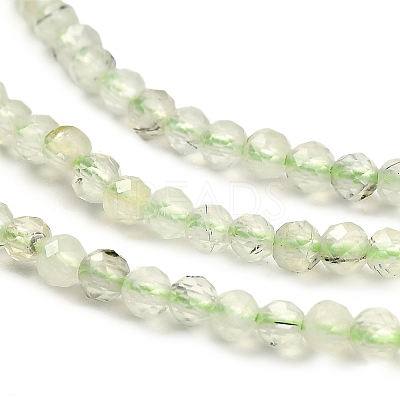 Natural Prehnite Beads Strands G-RM2025-34-2.5mm-1
