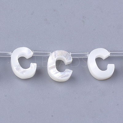 Sea Shell Beads X-SHEL-T012-60C-1