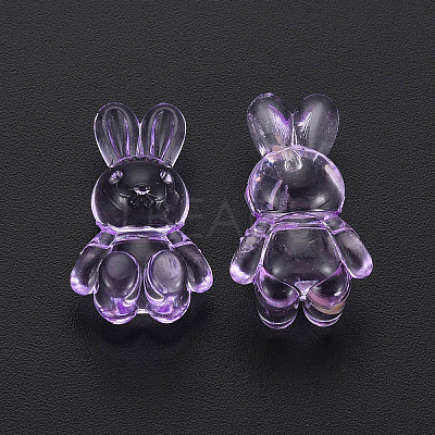 Transparent Acrylic Beads LS-MACR-S373-81-B05-1