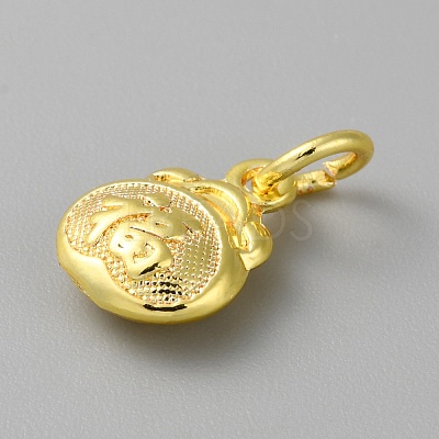 Alloy Pendants with Chinese Characters LS-FIND-WH0159-63G-02-1