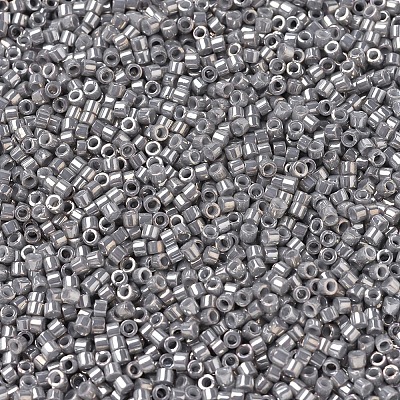 MIYUKI Delica Beads X-SEED-J020-DB0251-1